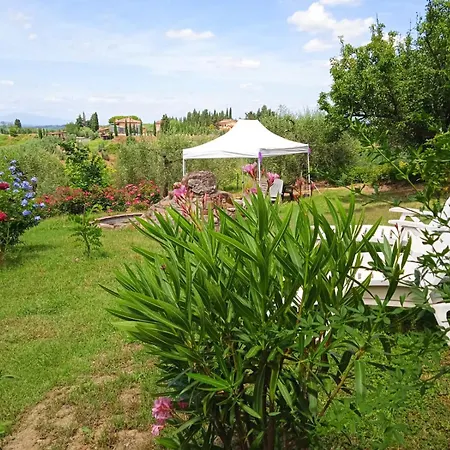 Nido Di Rondine *