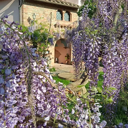 Nido Di Rondine Apartment