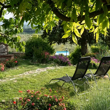 Nido Di Rondine