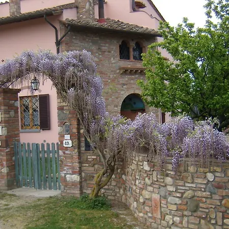 Nido Di Rondine *