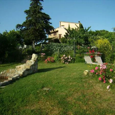Nido Di Rondine *