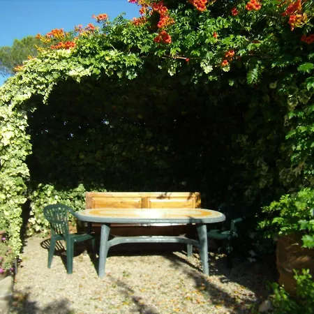 Nido Di Rondine Apartment Montespertoli